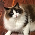 Pattie Miller - @moondragon109 - Instagram