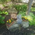 Pattie Miller - @pmiller5163 - Instagram