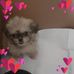 Patti Webb - Facebook