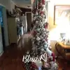 Patty Webb - @patty.webb - TikTok