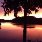 Patty Webb - @patty.webb.944 - Instagram