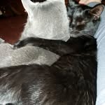 Patty Webb Sale - @hubyskitty - Instagram