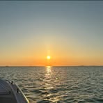 Patti Whitley Wright - Facebook