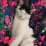 Pattie Wright - @pattie.wright.3 - Instagram