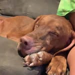 Pattie Young - @pattieyoung7 - Instagram
