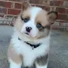 Davis Patton - @davis.patton - TikTok