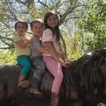 Shelley Patton Davis - @fesibrary - Instagram