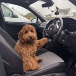 Arthur Patton Jones - @arthurjones_adventures - Instagram