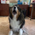 Patti Akers - @phakers - Instagram