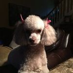 Patty Amos - @amos_patty - Instagram