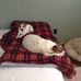 Patty Barker - Facebook