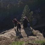 Patty Barlow - @pbarlowtraveltech - Instagram