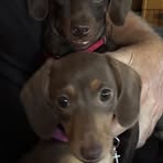 Patty Barnes - Facebook