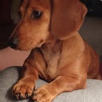 Patty Barnes - Facebook
