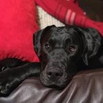 Patty - @patty__barnes - Instagram