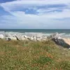 Patty Propes Barnes - @pattyb1971 - TikTok