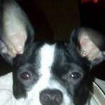Patty Bauer - @chiari4.777patty777 - Instagram