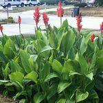 Patty Beach - @patty.beach - Instagram