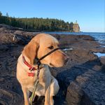 Patty Beach Mueller - @muellepm - Instagram