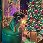 Patty Benson - @pbenson0327 - Instagram