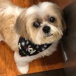 Patty Benson - @pattybenson123 - Instagram