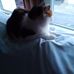 Patty Benson - Facebook