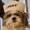 Patty and Bentley - @pattyintoledo - TikTok