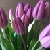 Patty Bond Bergman - Facebook