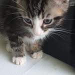 Patty Boyd - @pattythepen - Instagram
