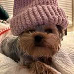 Pat Tate Bremer - @pmtb4 - Instagram