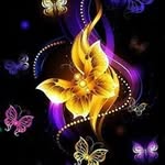 Patty Bridges Price - @bridgesprice - Instagram