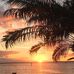 Patricia Briscoe - Facebook