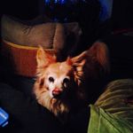 Patty Briscoe Reid - @pattylynnak6 - Instagram