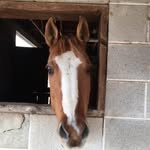 Patty Brock - @peb1958 - Instagram