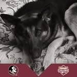 Patty Bryan - @pbryan0206 - Instagram