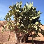 Patty Bryan - @pattybryan6154 - Instagram