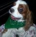 Patricia Buckner - Facebook