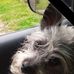 Patricia Buckner - Facebook