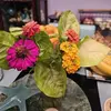 Patty Burger - @patty.burger7 - TikTok