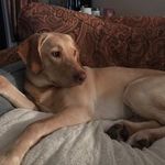 Patty Byrd Carr - @pattybyrdcarr - Instagram