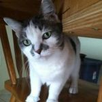 Patty Bulko Carlson - @patty.carlson6 - Instagram