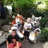 Patty Carlson - @patty.carlson384 - TikTok