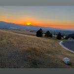 Patty Carlson - @pebbleblue - Instagram