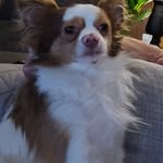 Patty Curley Caron - @mom4665020 - Instagram