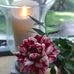 Patty Carr - Facebook