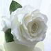 Patty Carrillo - Facebook