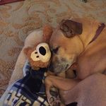 Patty Carson - @hobo_roaming - Instagram