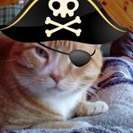 Patty Cary - @pirate_patty - Instagram