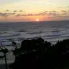 pattycasey4555 - @pattycasey4555 - TikTok