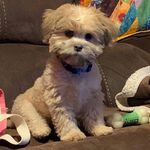 Patti Caudill Stolfi - @pattistolfi - Instagram